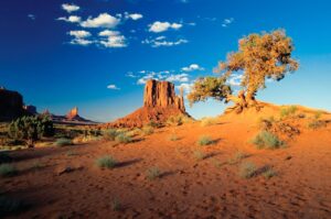 Traveling Arizona Monument Valley