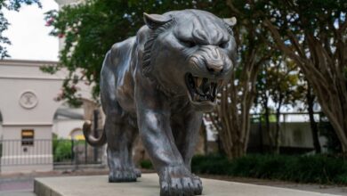 Traveling Baton Rouge Mascot Statue