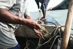 A Lobster Fisherman In Cabo De La Vela